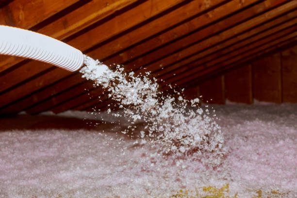 Best Spray Foam Insulation  in Long Lake, MN