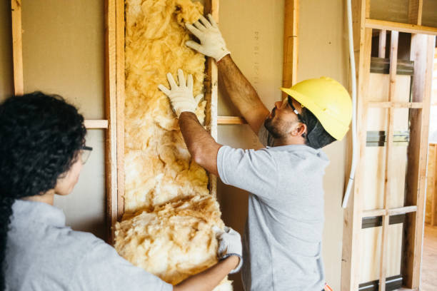  Long Lake, MN Foam Insulation Services Pros